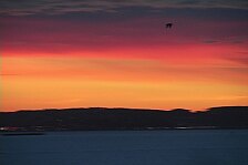 sunset 78.jpg